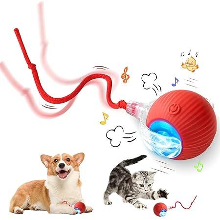  Automatic Smart Cat Ball Toy | Best Interactive Toy for Cats Petspalz