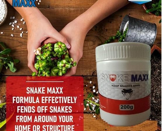  Snake Maxx – Non-Toxic Biodegradable Snake Repellent Petspalz