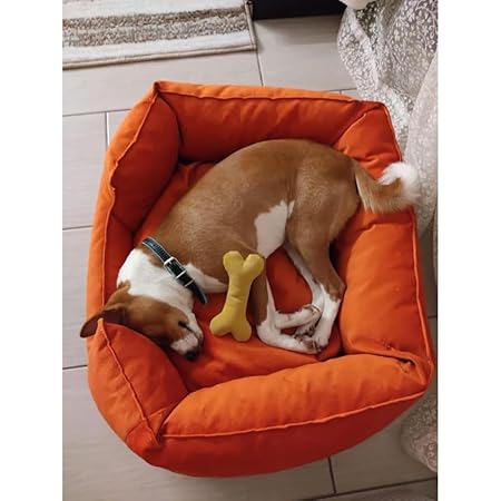  Dog & Cat Pet Bed – Reversible, Anti-Skid, Washable | All Breeds Petspalz