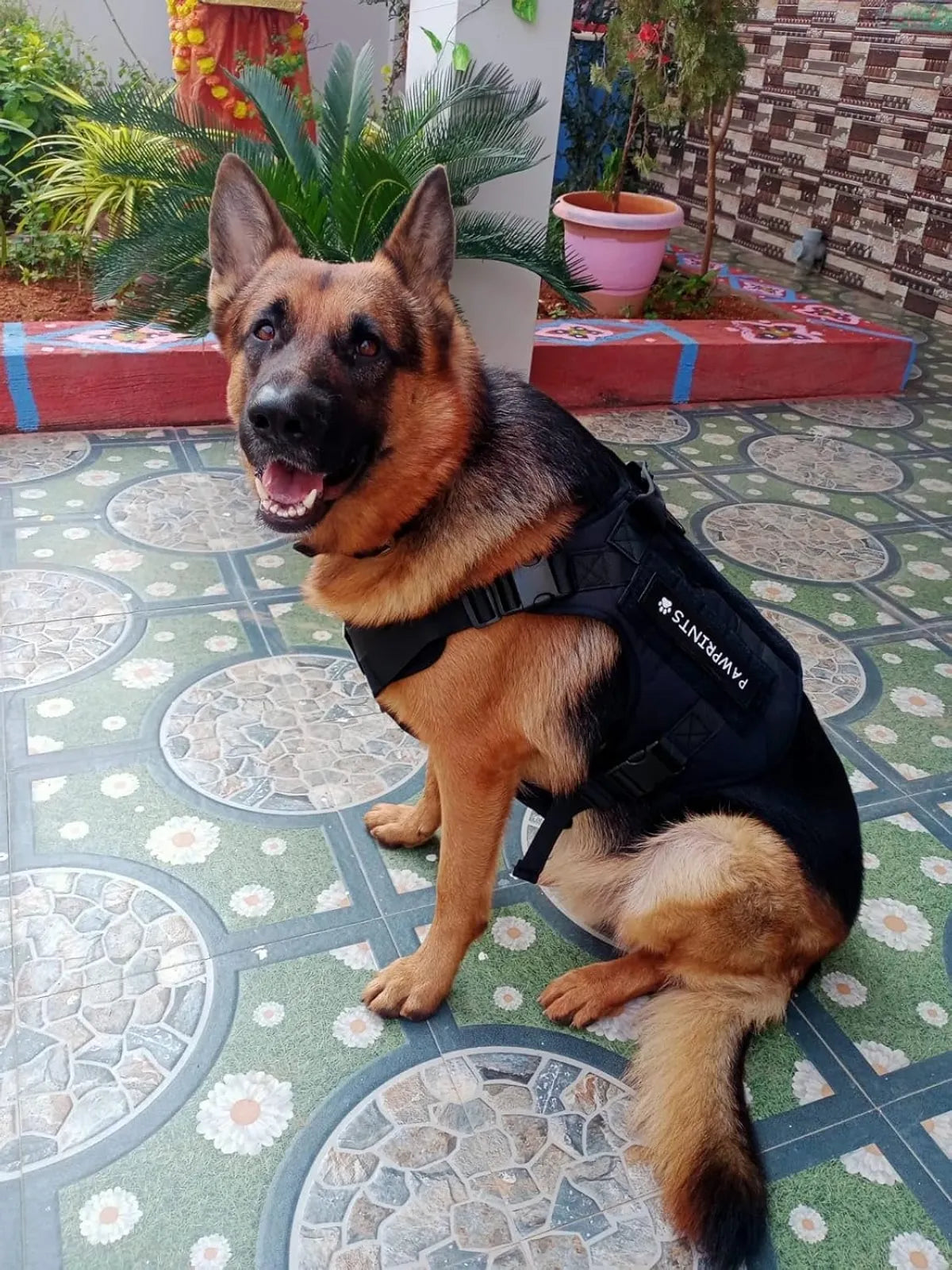  Tactical Black No-Pull Dog Harness – Military Standard Outdoor Vest Petspalz