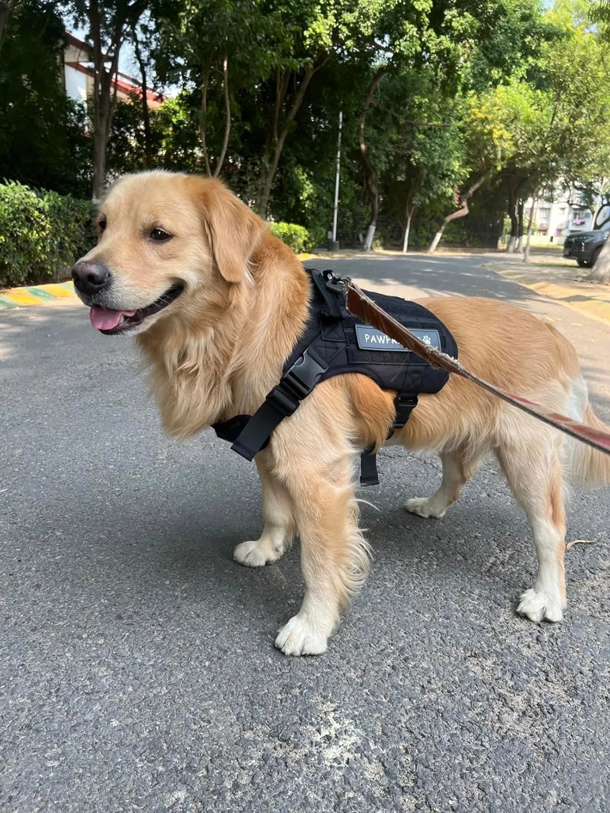  Tactical Black No-Pull Dog Harness – Military Standard Outdoor Vest Petspalz