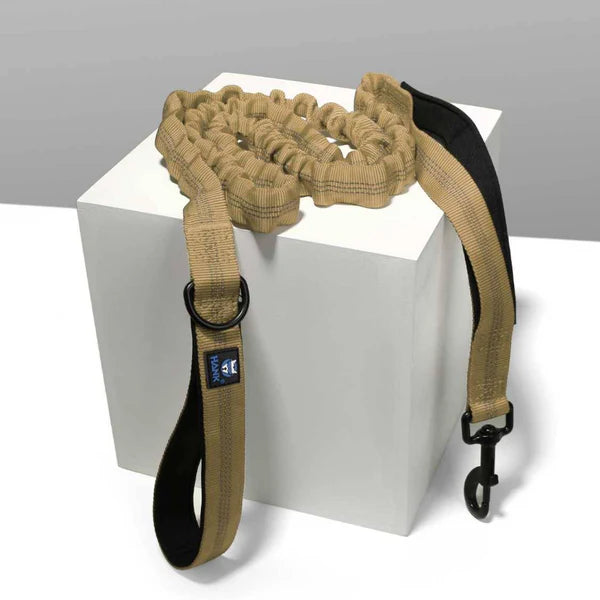  Tactical Bungee Dog Leash – Shock Absorbing & Dual Handle Petspalz