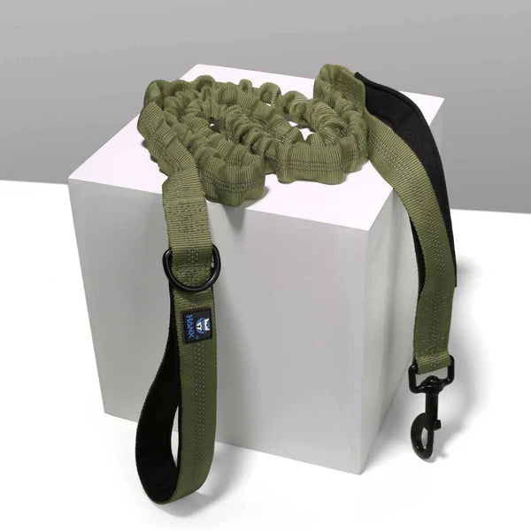  Tactical Bungee Dog Leash – Shock Absorbing & Dual Handle Petspalz