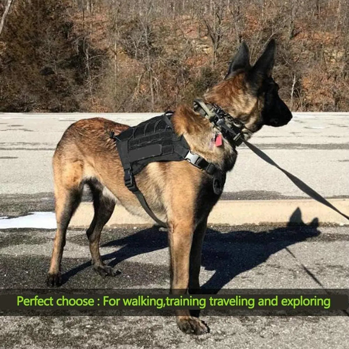  Tactical Dog Leash - Heavy Duty No Pull Bungee Leash for Large Dogs Petspalz
