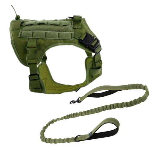 Tactical No Pull Dog Harness and Bungee Leash Combo for Training and Adventure