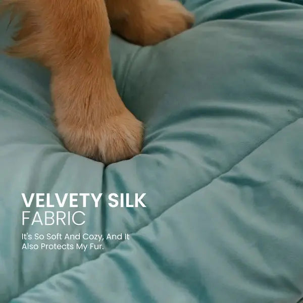  Buy Therma Flow Summer Dog Bed Petspalz  Petspalz