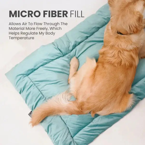  Buy Therma Flow Summer Dog Bed Petspalz  Petspalz
