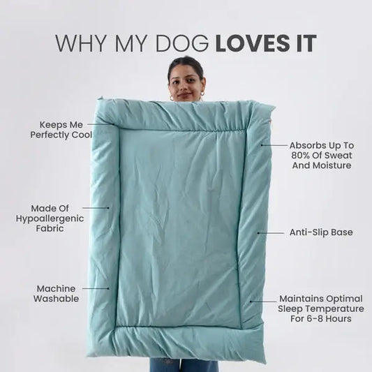  Buy Therma Flow Summer Dog Bed Petspalz  Petspalz