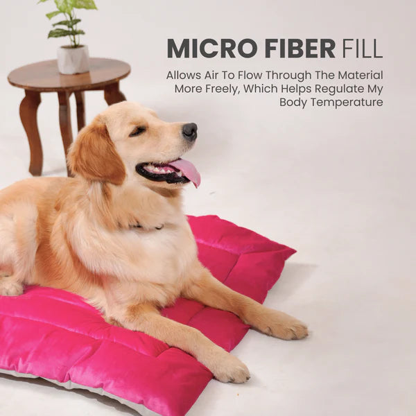  Buy Therma Flow Summer Dog Bed Petspalz  Petspalz