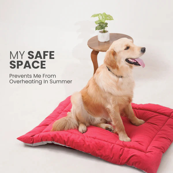  Buy Therma Flow Summer Dog Bed Petspalz  Petspalz
