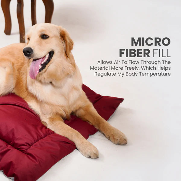  Buy Therma Flow Summer Dog Bed Petspalz  Petspalz