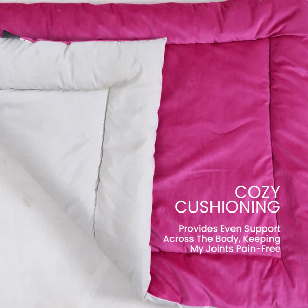  Buy Therma Flow Summer Dog Bed Petspalz  Petspalz