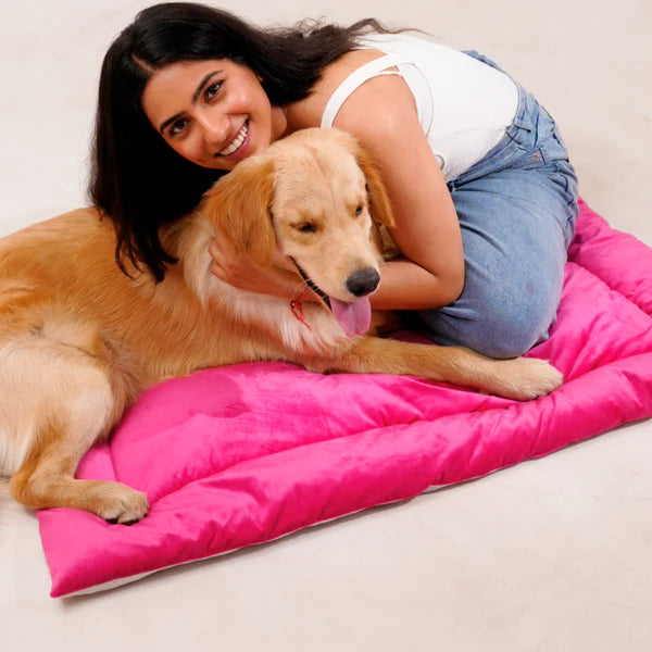 Buy Therma Flow Summer Dog Bed Petspalz  Petspalz