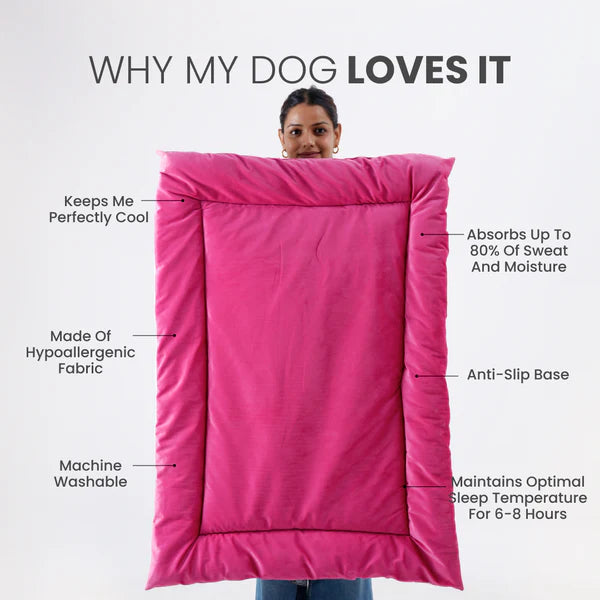  Buy Therma Flow Summer Dog Bed Petspalz  Petspalz