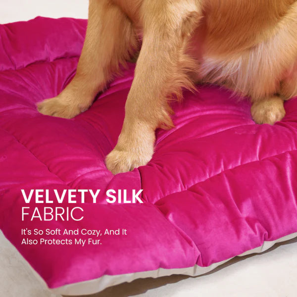  Buy Therma Flow Summer Dog Bed Petspalz  Petspalz
