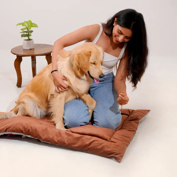  Buy Therma Flow Summer Dog Bed Petspalz  Petspalz
