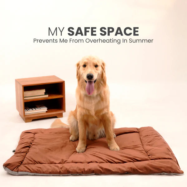  Buy Therma Flow Summer Dog Bed Petspalz  Petspalz