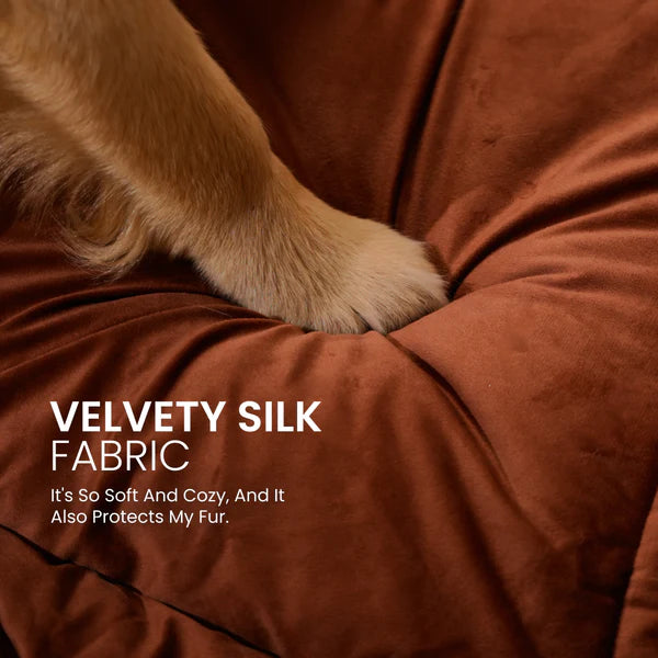  Buy Therma Flow Summer Dog Bed Petspalz  Petspalz