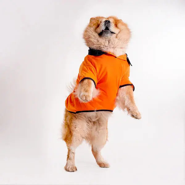  Tshirts for dogs - All Breeds Petspalz