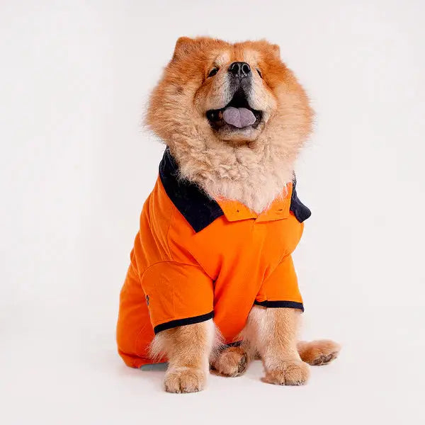  Tshirts for dogs - All Breeds Petspalz