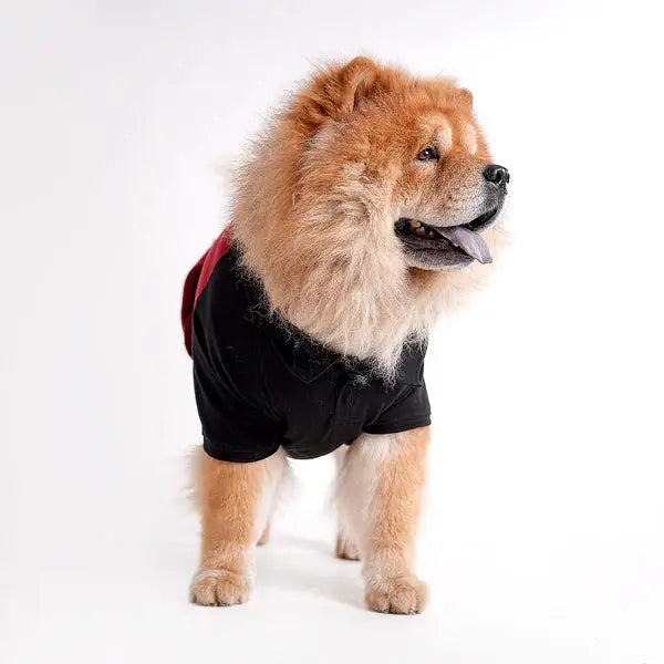  Tshirts for dogs - All Breeds Petspalz
