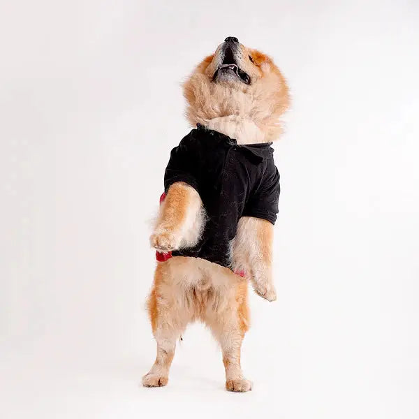  Tshirts for dogs - All Breeds Petspalz