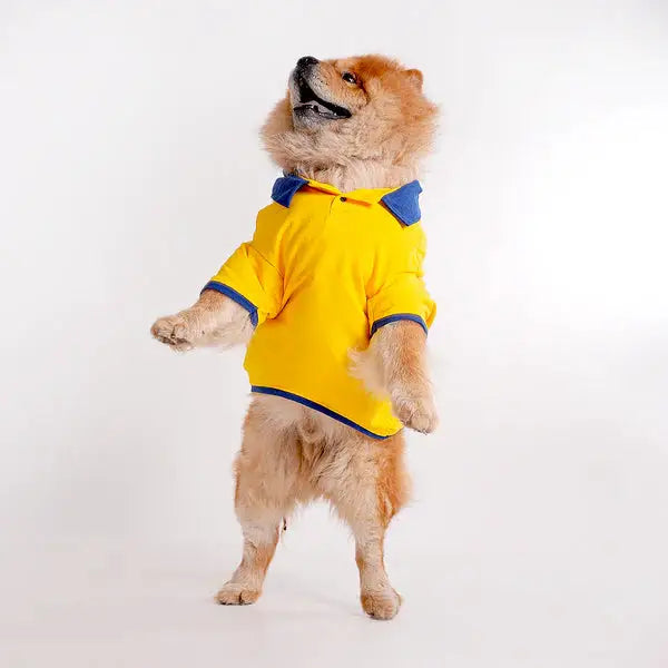 Tshirts for dogs - All Breeds Petspalz