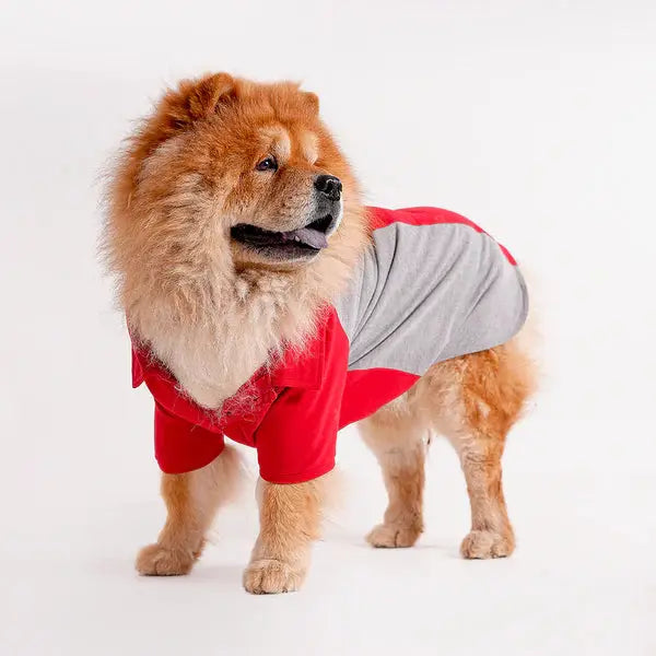  Tshirts for dogs - All Breeds Petspalz