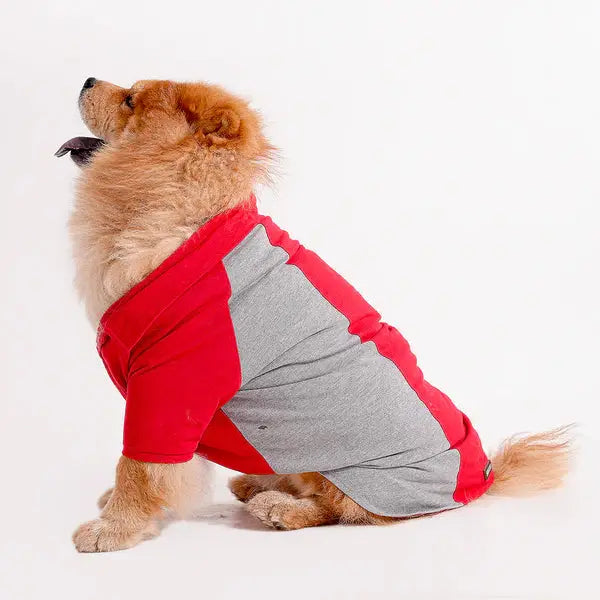  Tshirts for dogs - All Breeds Petspalz