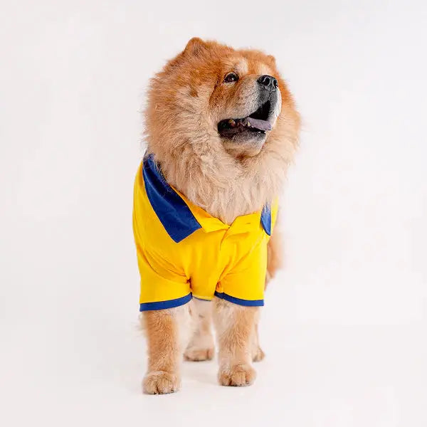  Tshirts for dogs - All Breeds Petspalz