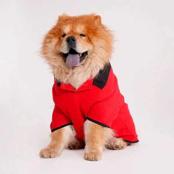  Tshirts for dogs - All Breeds Petspalz