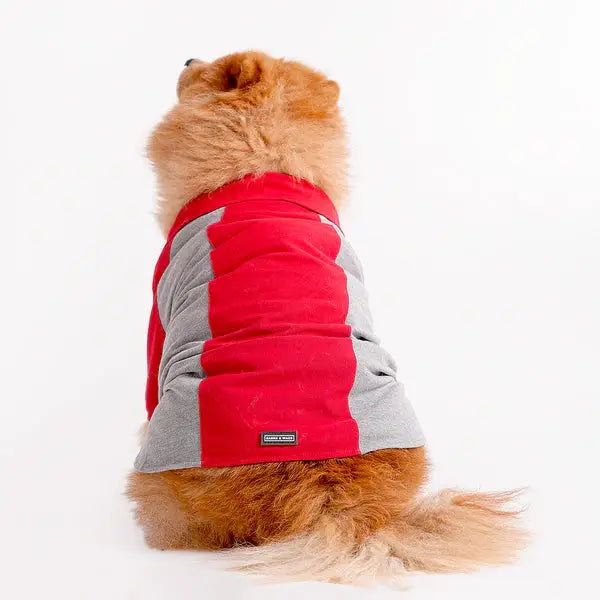  Tshirts for dogs - All Breeds Petspalz