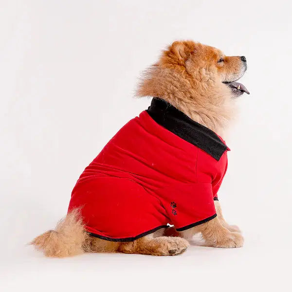  Tshirts for dogs - All Breeds Petspalz