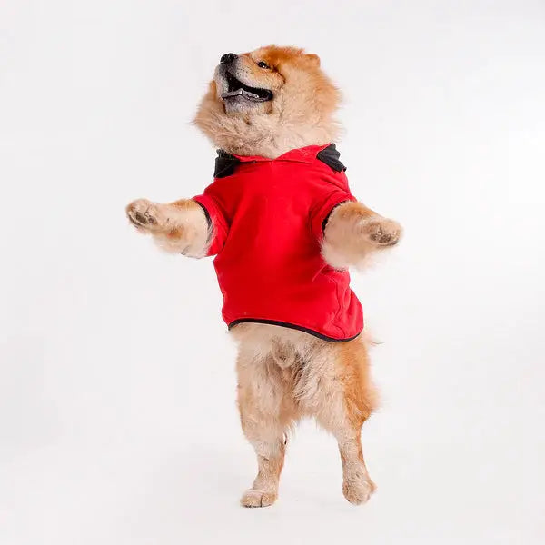  Tshirts for dogs - All Breeds Petspalz