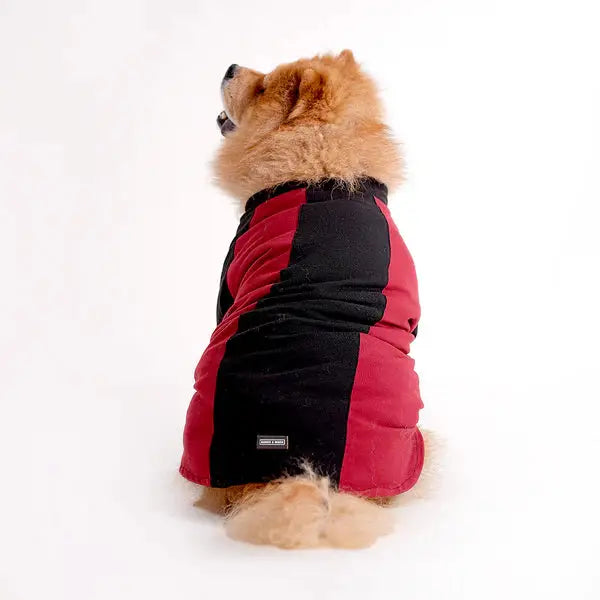  Tshirts for dogs - All Breeds Petspalz