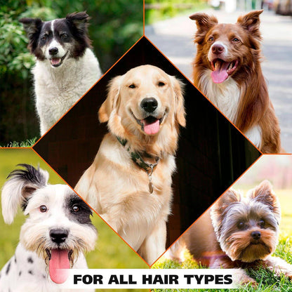  Wahl eucalyptus spearmint dog deodorant pet friendly formula Petspalz