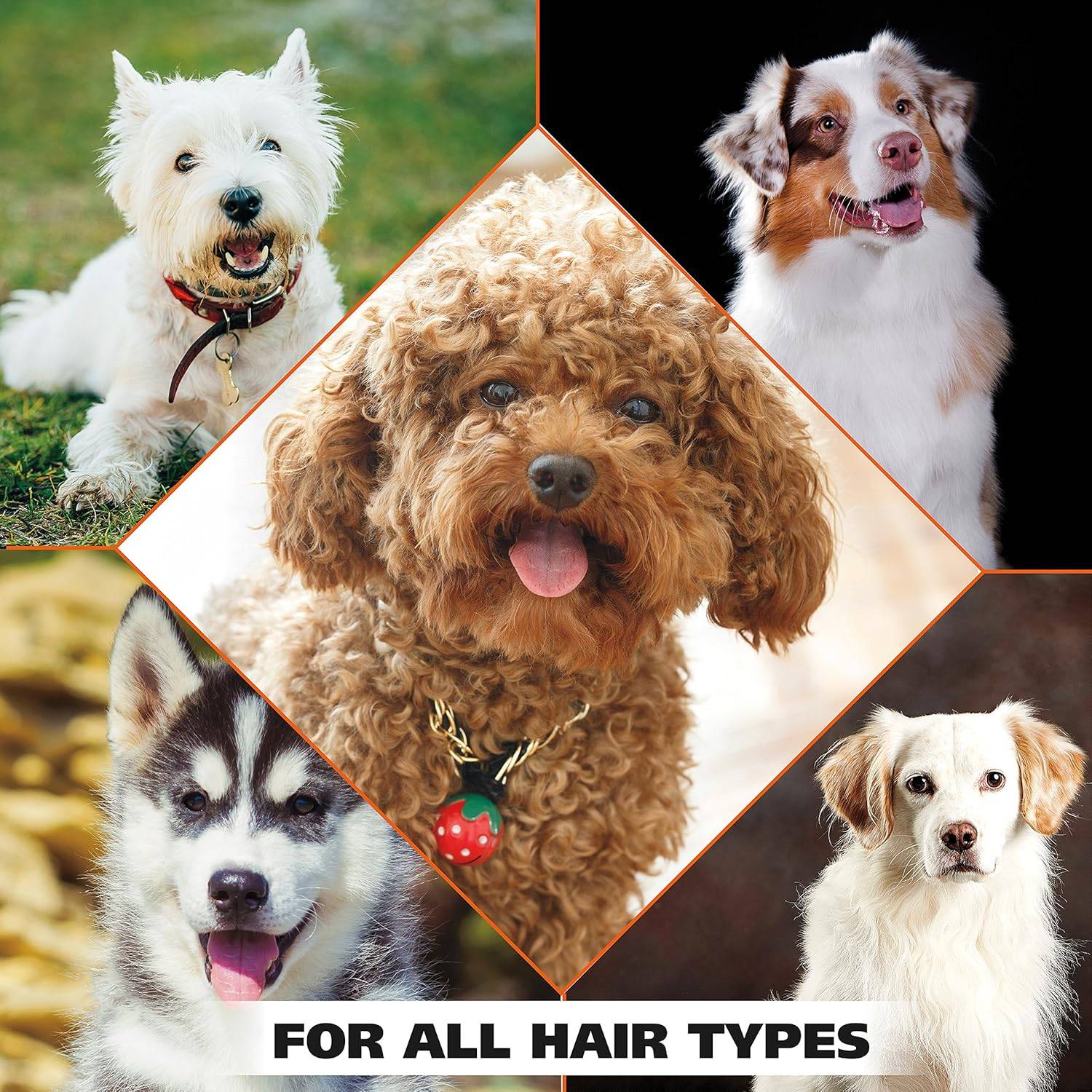  Wahl Oatmeal Shampoo for Dogs - Petspalz Petspalz