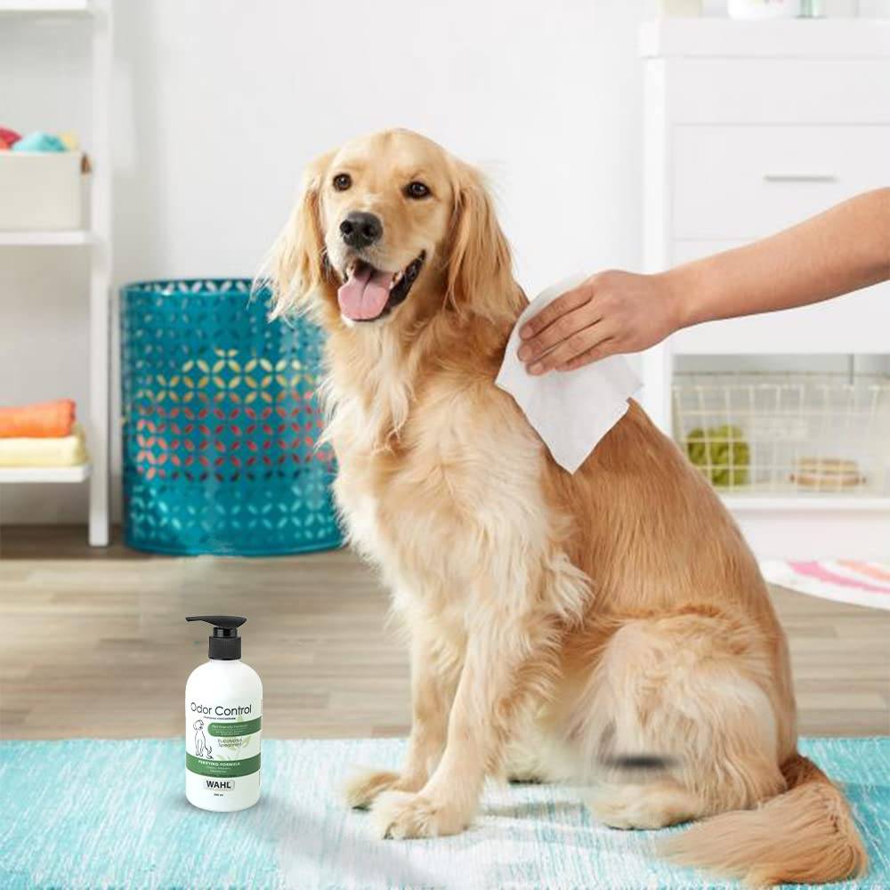  Wahl dog odor control shampoo eucalyptus spearmint Petspalz