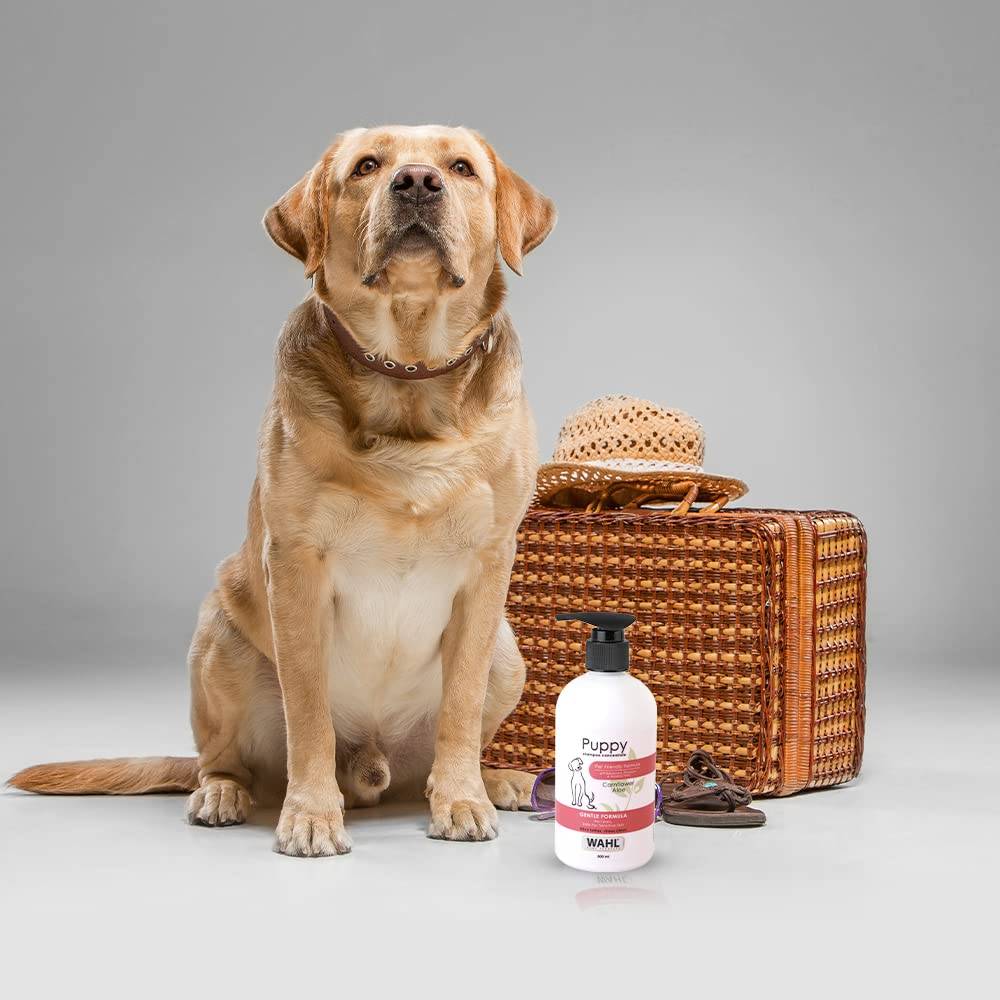  Wahl Puppy Shampoo For All Breeds of Dogs  Petspalz