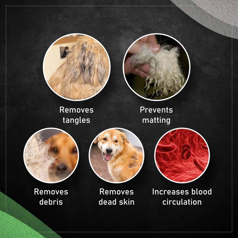  Wahl Slicker Brush-XL for Dogs and Cats  Petspalz