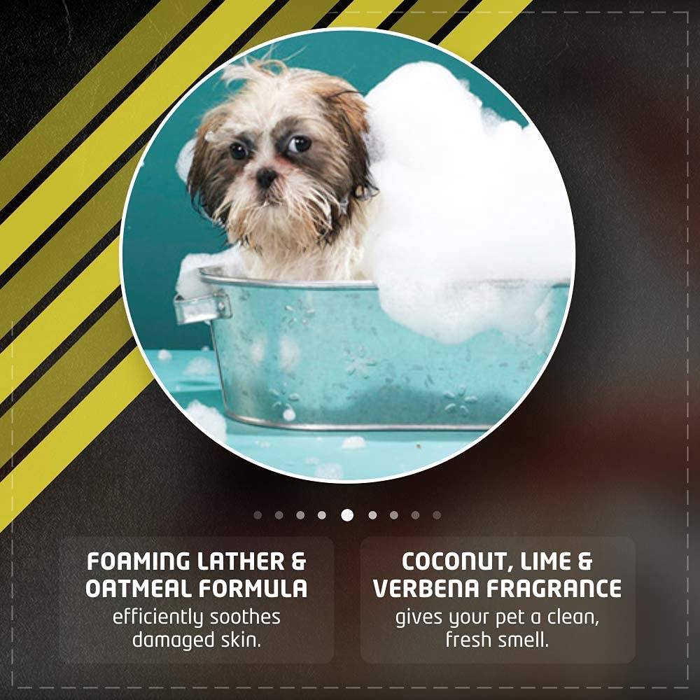  Wahl Waterless No Rinse Oatmeal Dog Shampoo  Petspalz
