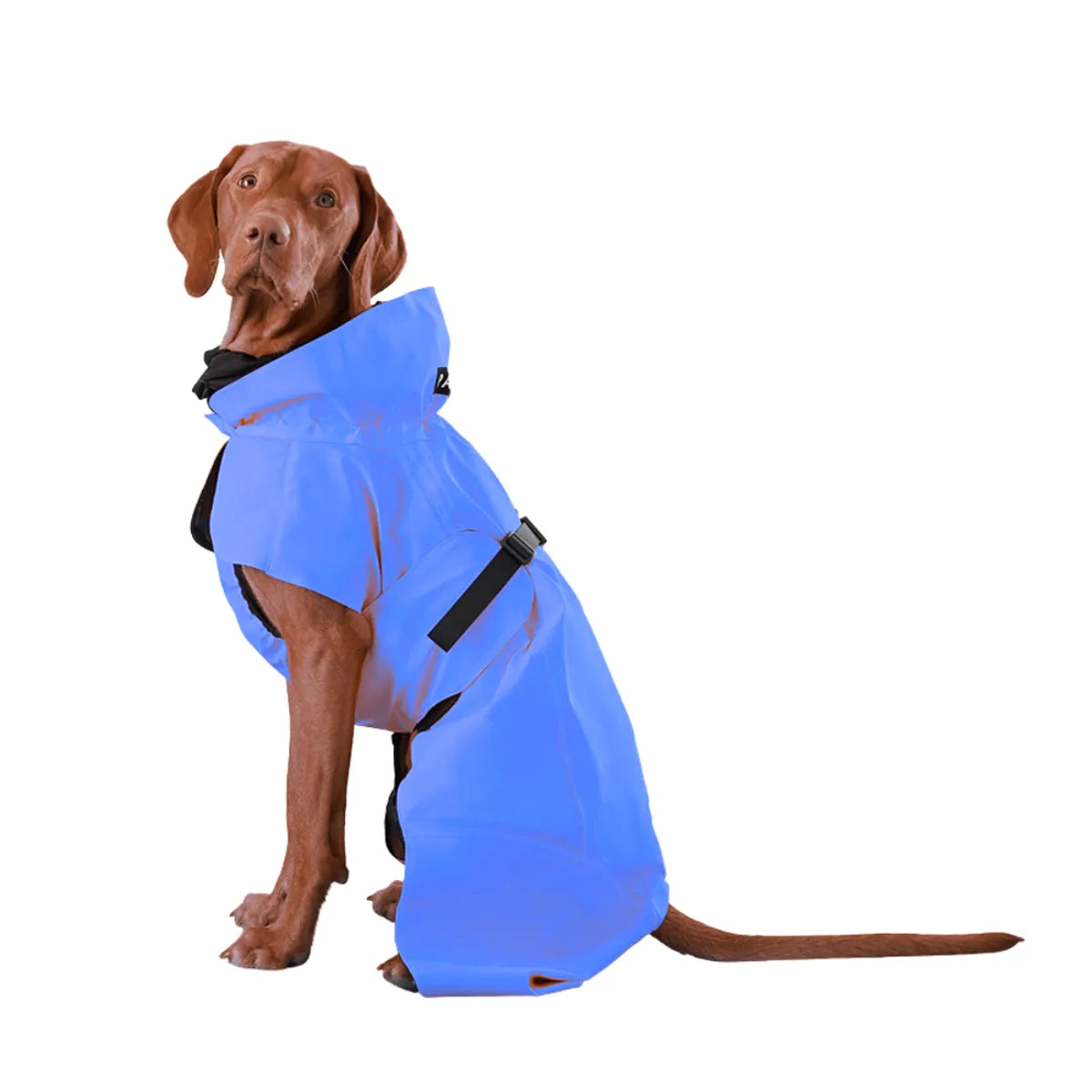  Waterproof Dog Raincoat | Lightweight Pet Rain Gear Petspalz