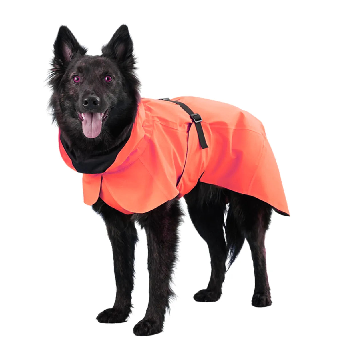  Waterproof Dog Raincoat | Lightweight Pet Rain Gear Petspalz