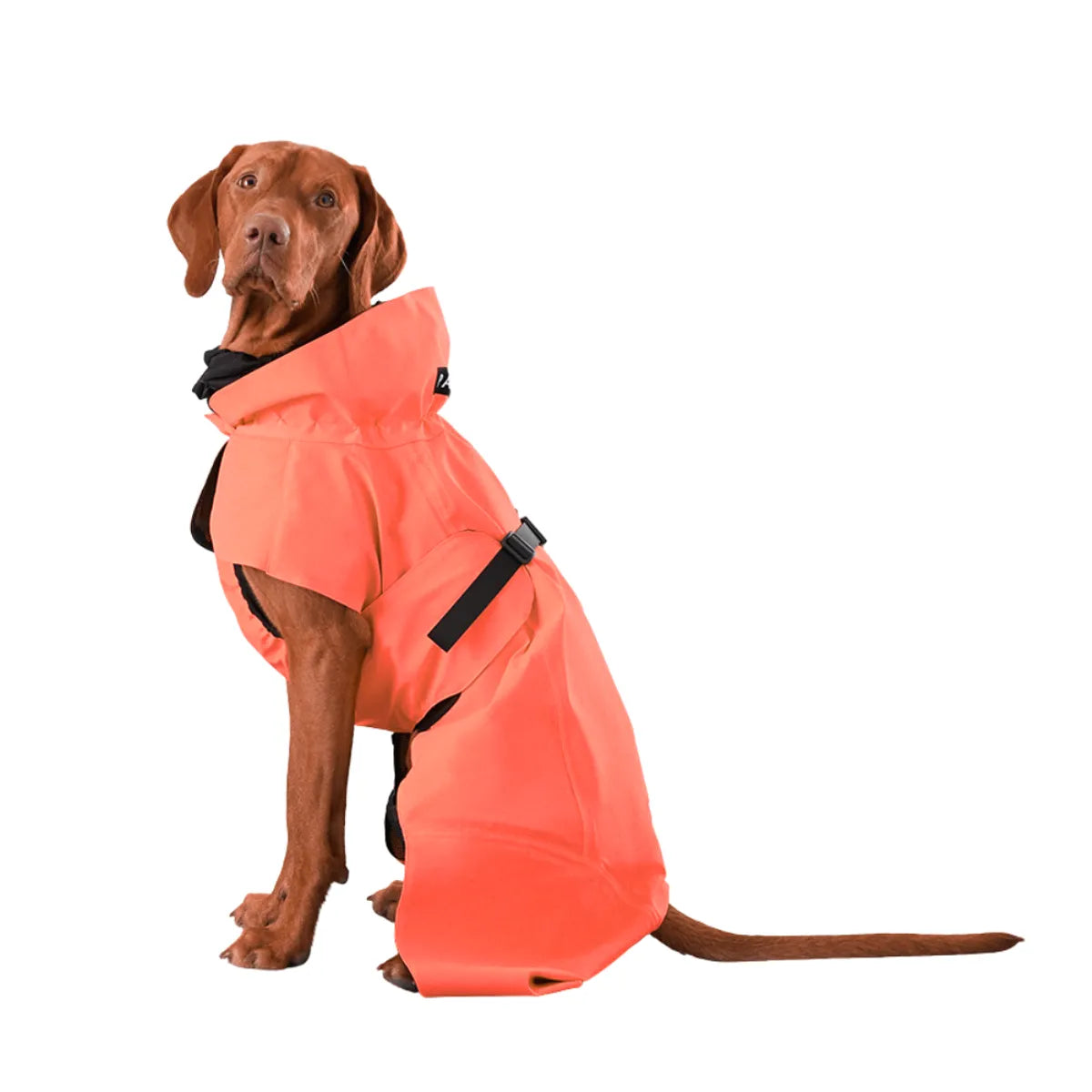  Waterproof Dog Raincoat | Lightweight Pet Rain Gear Petspalz