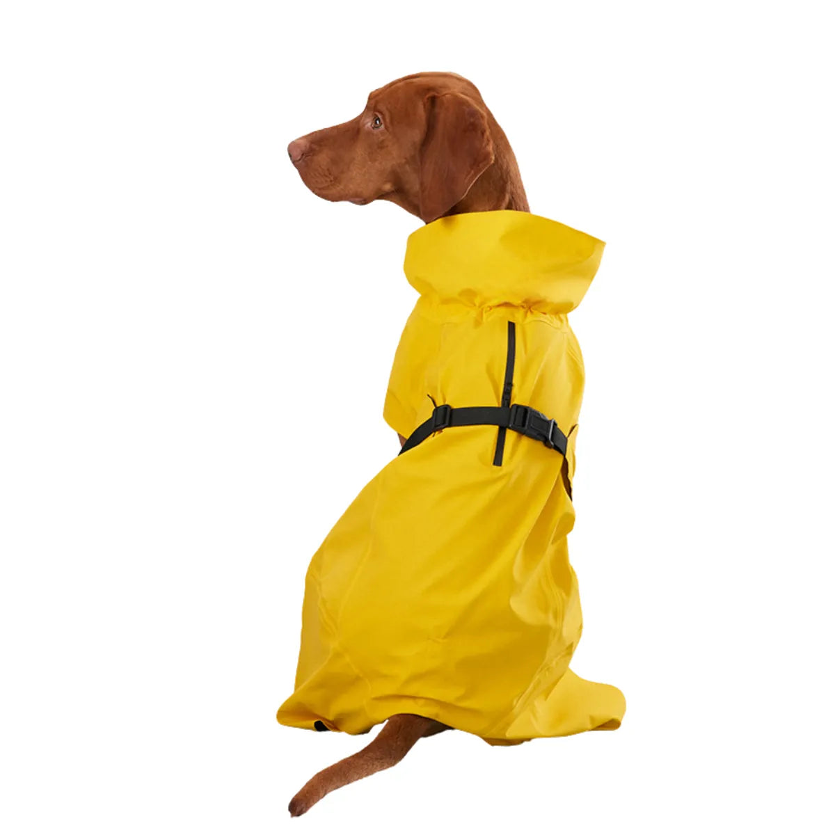  Waterproof Dog Raincoat | Lightweight Pet Rain Gear Petspalz