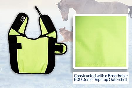Waterproof Neon Green Winter Dog Jacket – Cold Weather Coat for Pets