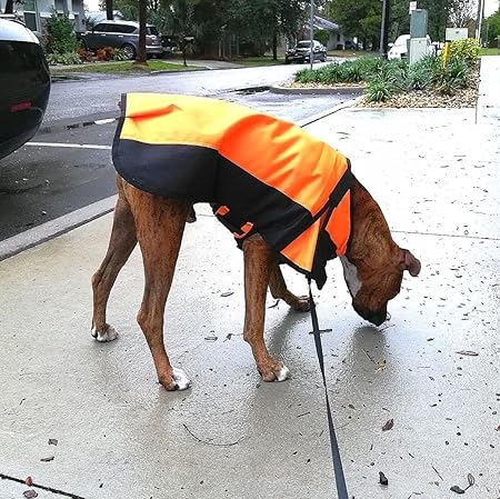 Waterproof Orange Winter Dog Jacket – Cold Weather Coat for Pets