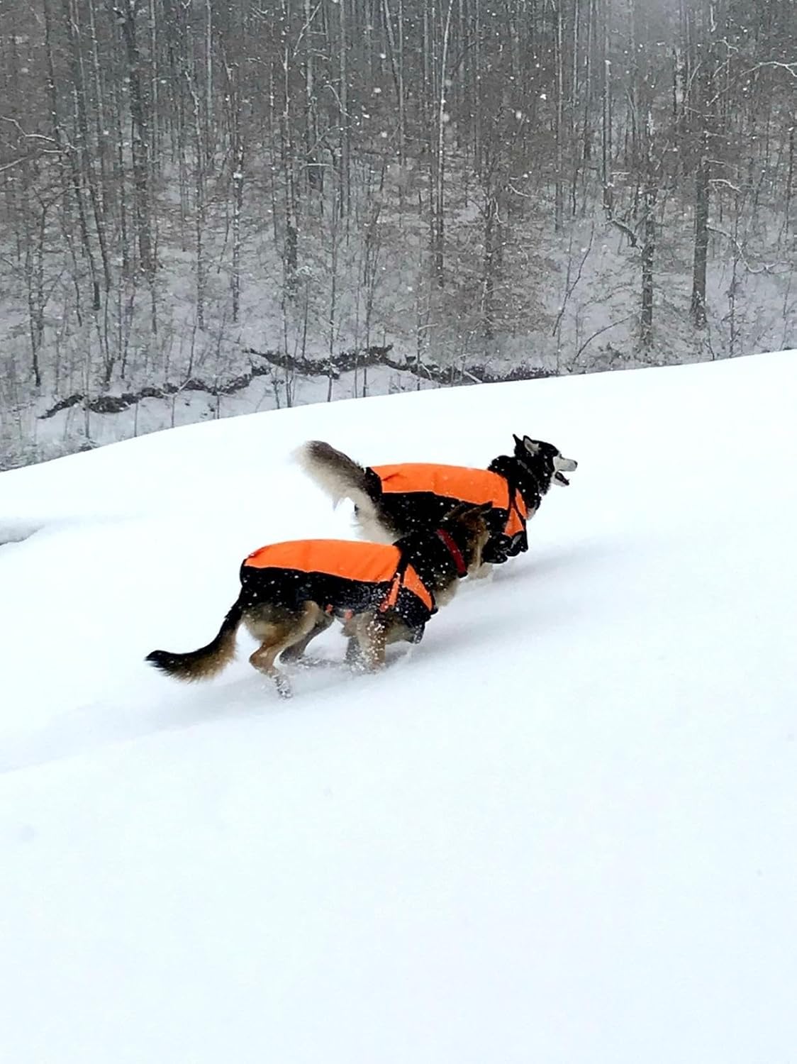 Waterproof Orange Winter Dog Jacket – Cold Weather Coat for Pets