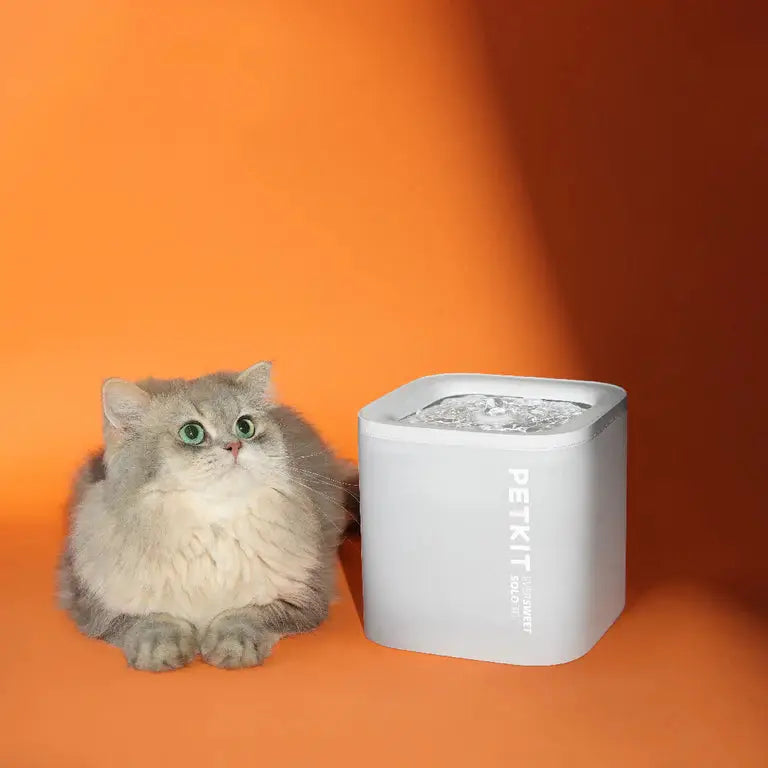  Wireless Smart Water Fountain for pets 1.8L Eversweet SOLO SE  Petspalz