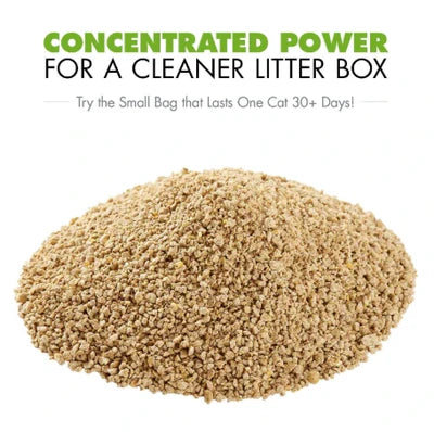  World's Best Cat Litter Biodegradable | Eco-Friendly & Odour Control Petspalz